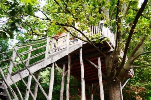 dormire casa sull'albero