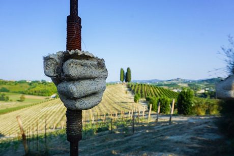 michele-chiarlo-langhe