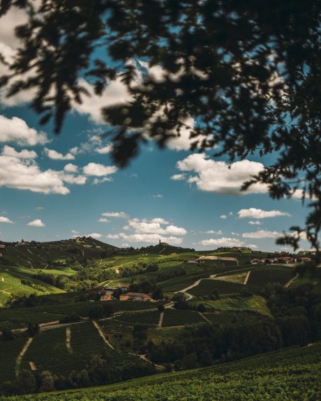 ristoranti nelle langhe