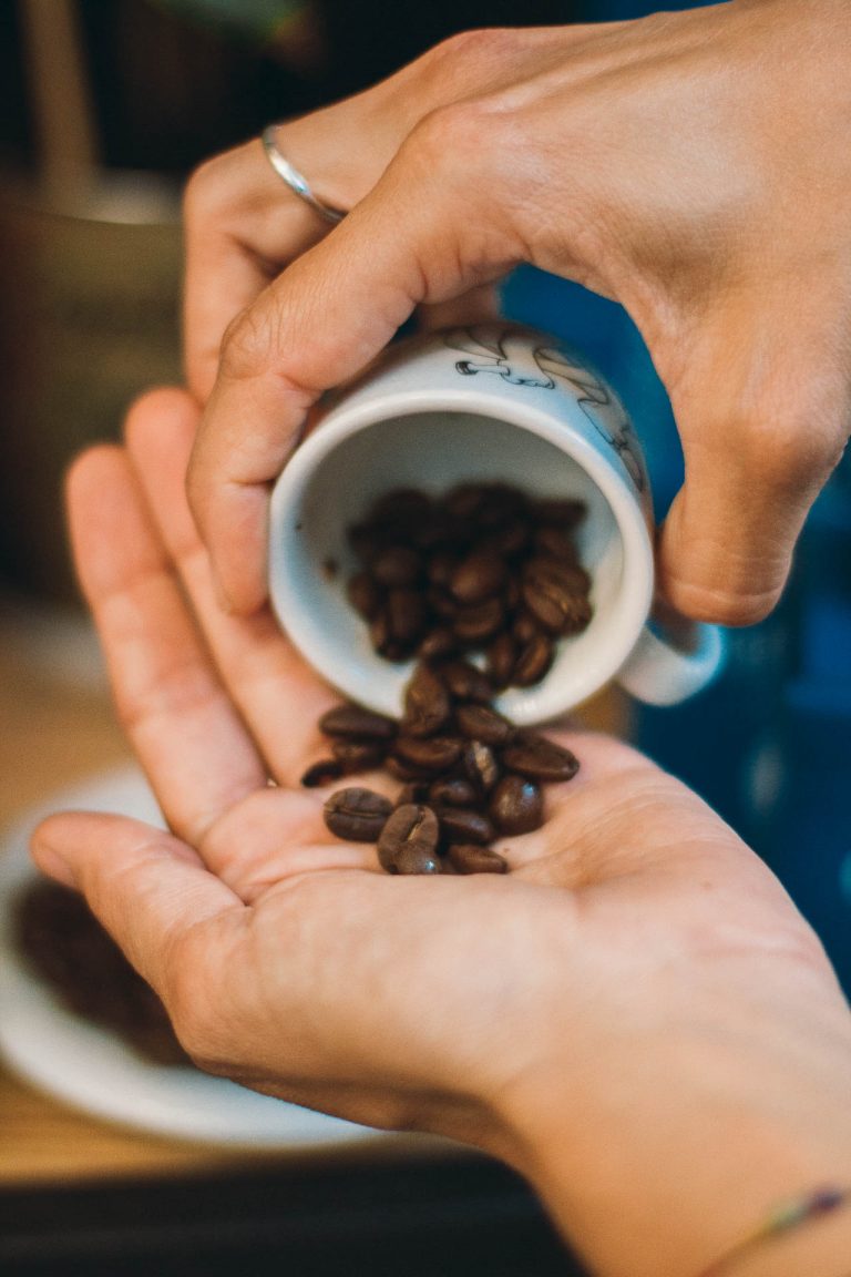 specialty coffee torino