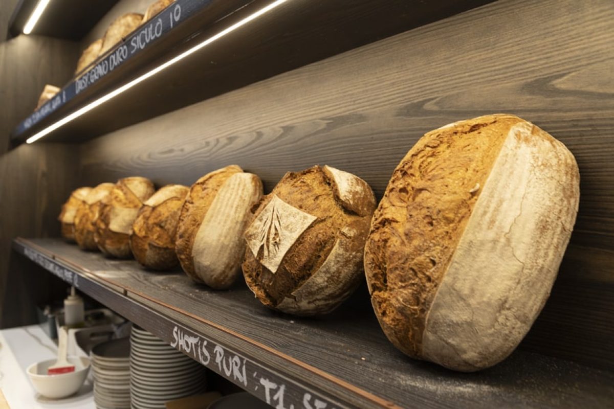 Tone Milano: il pane che racconta storie dal mondo a Città Studi