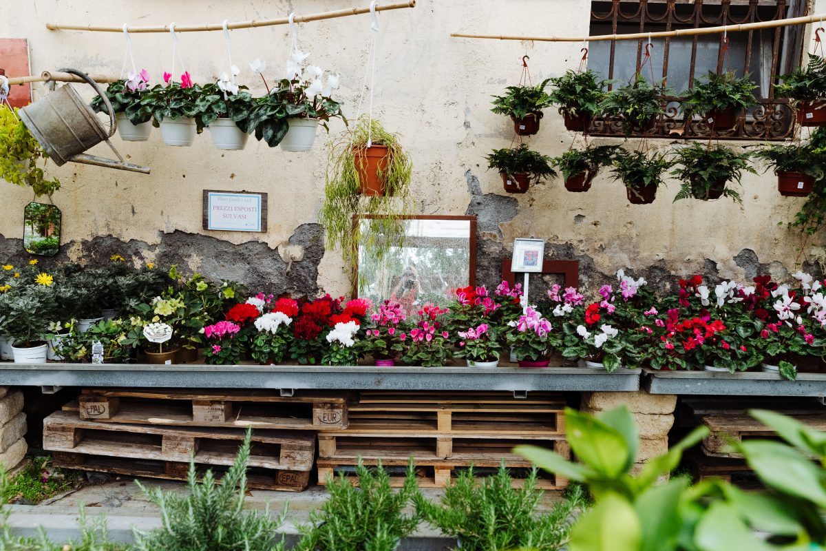 Fleur Garden: l’oasi di Trastevere