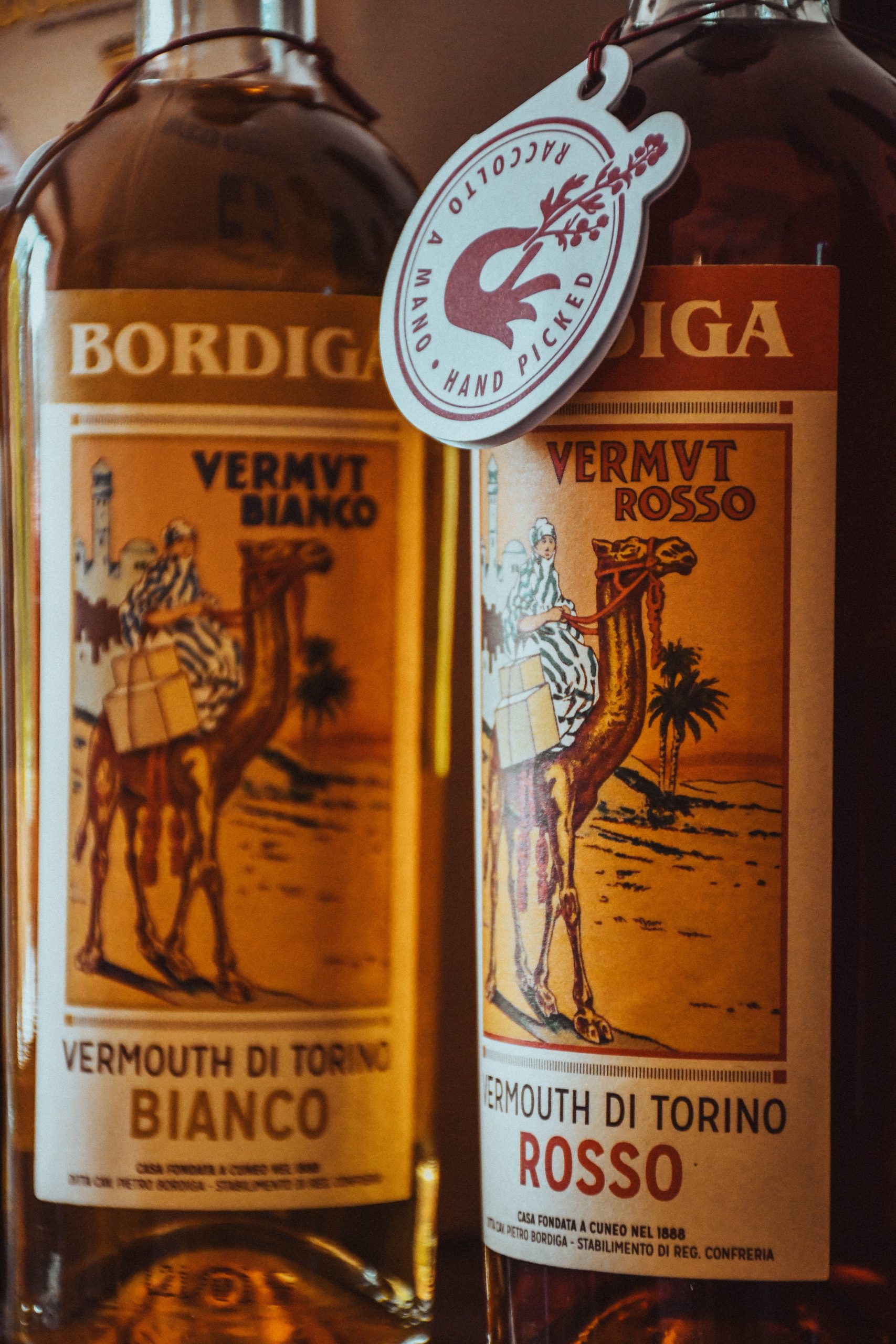 bordiga vermouth cuneo