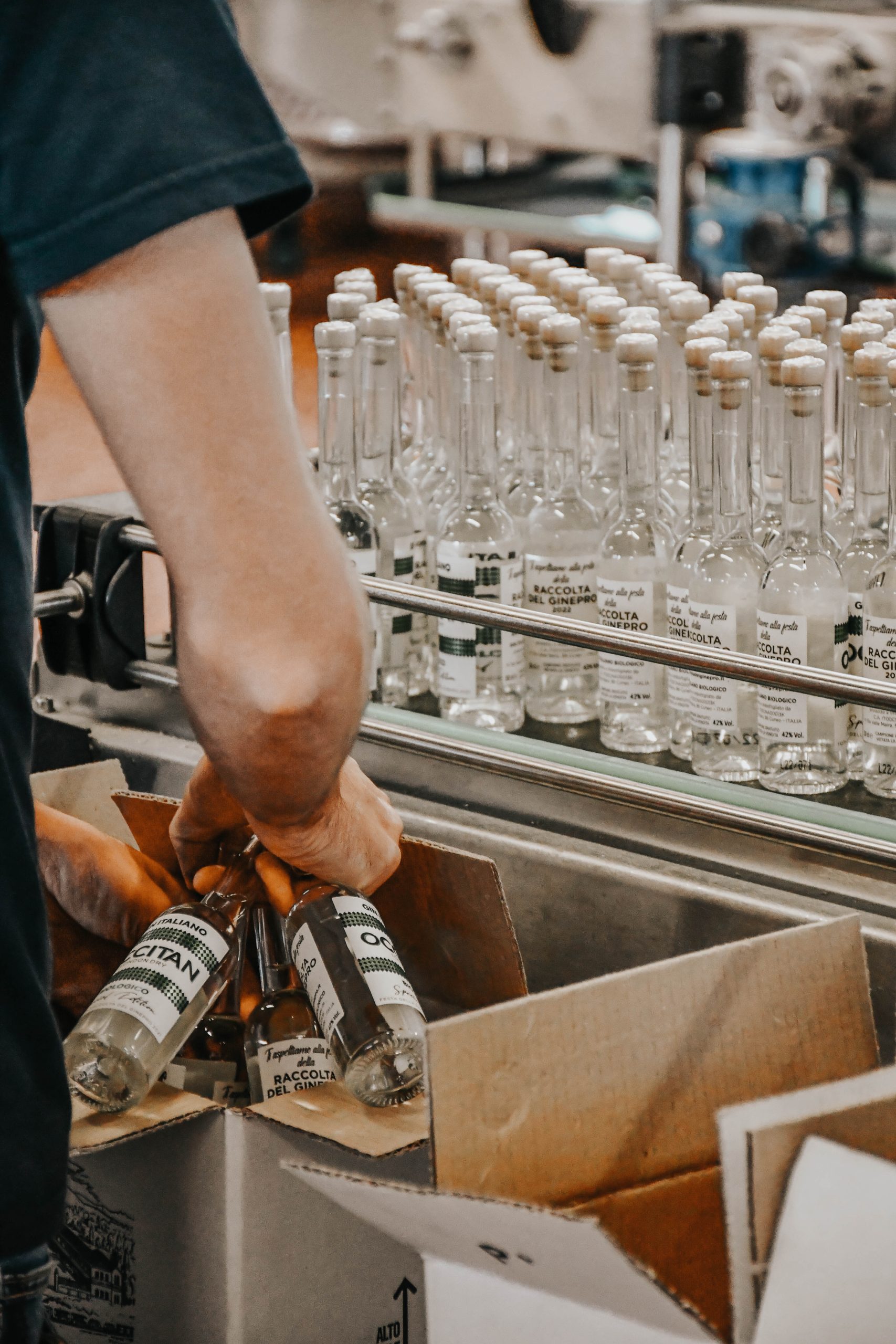 bordiga vermouth cuneo