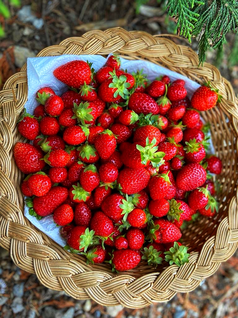 Azienda Agricola Ascheri