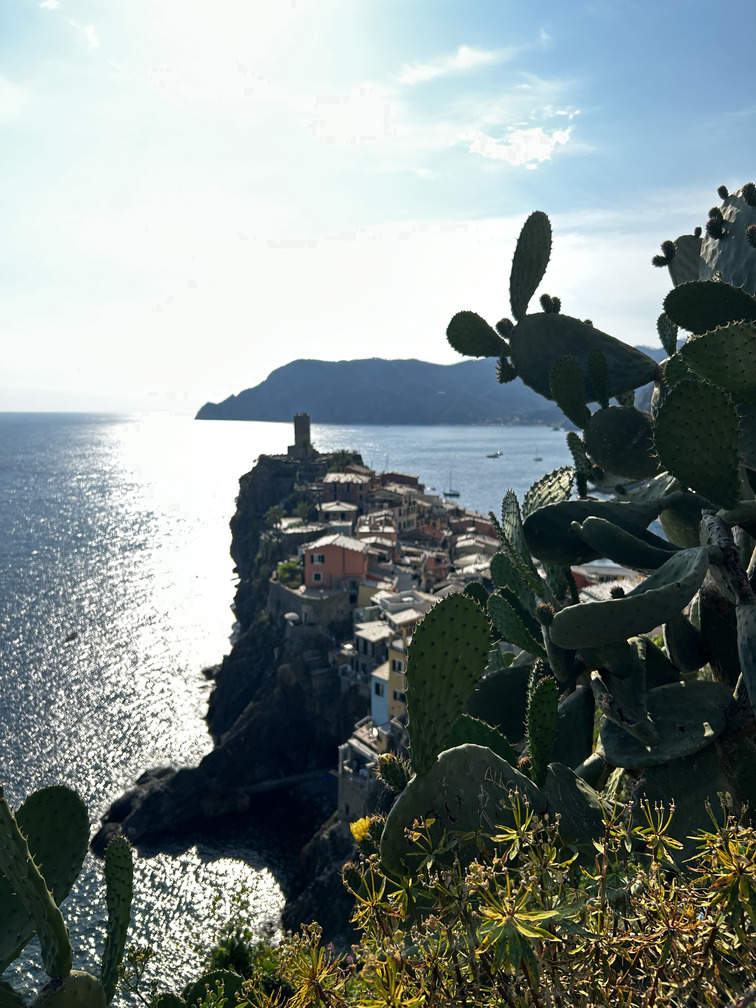 Sentiero Cinque Terre