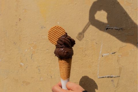 sbrino gelatificio contadino firenze