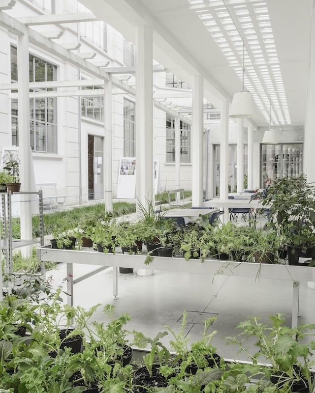 mercato agricolo di Agrimi Bio milano