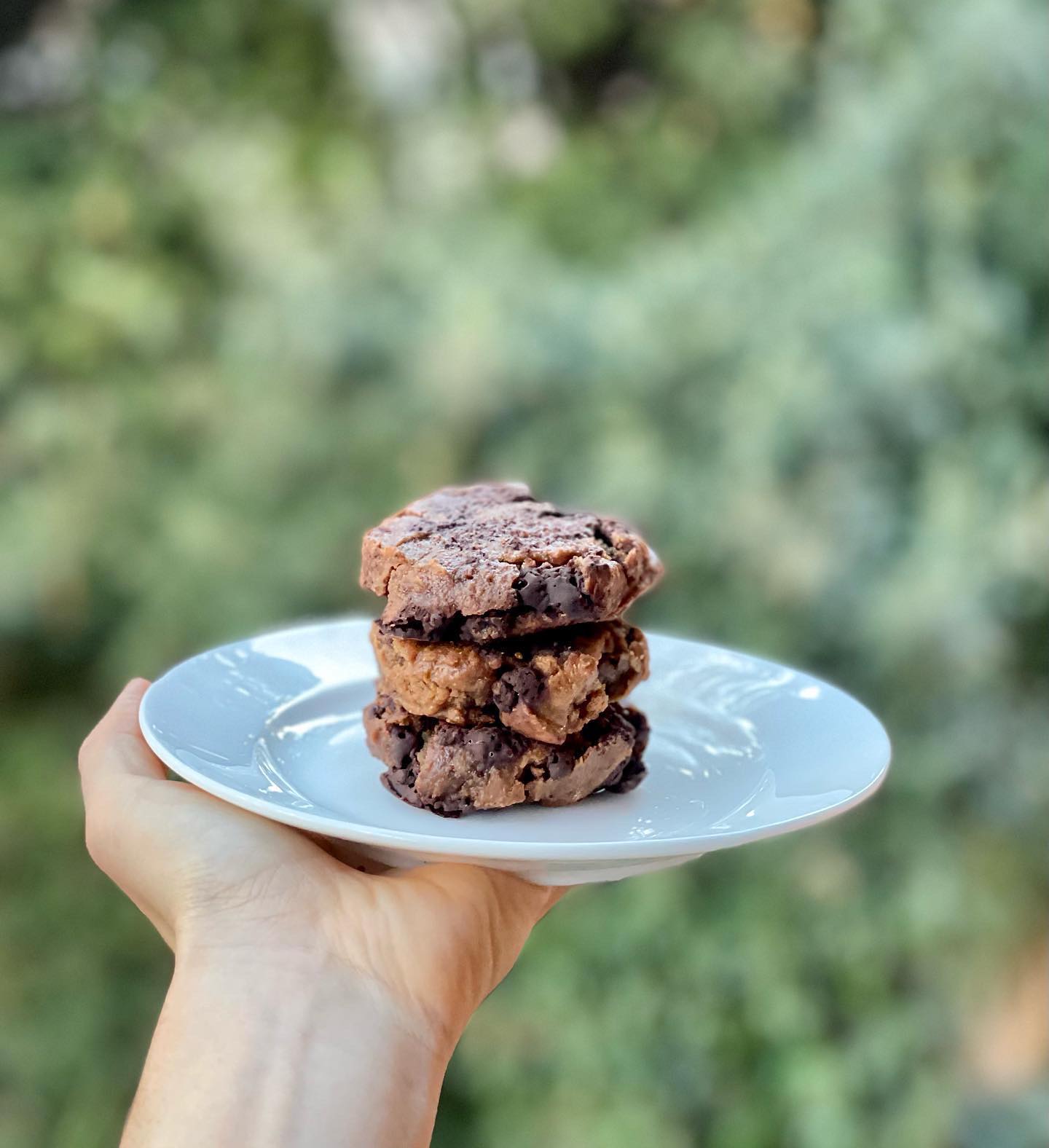 Base V Juicery Firenze