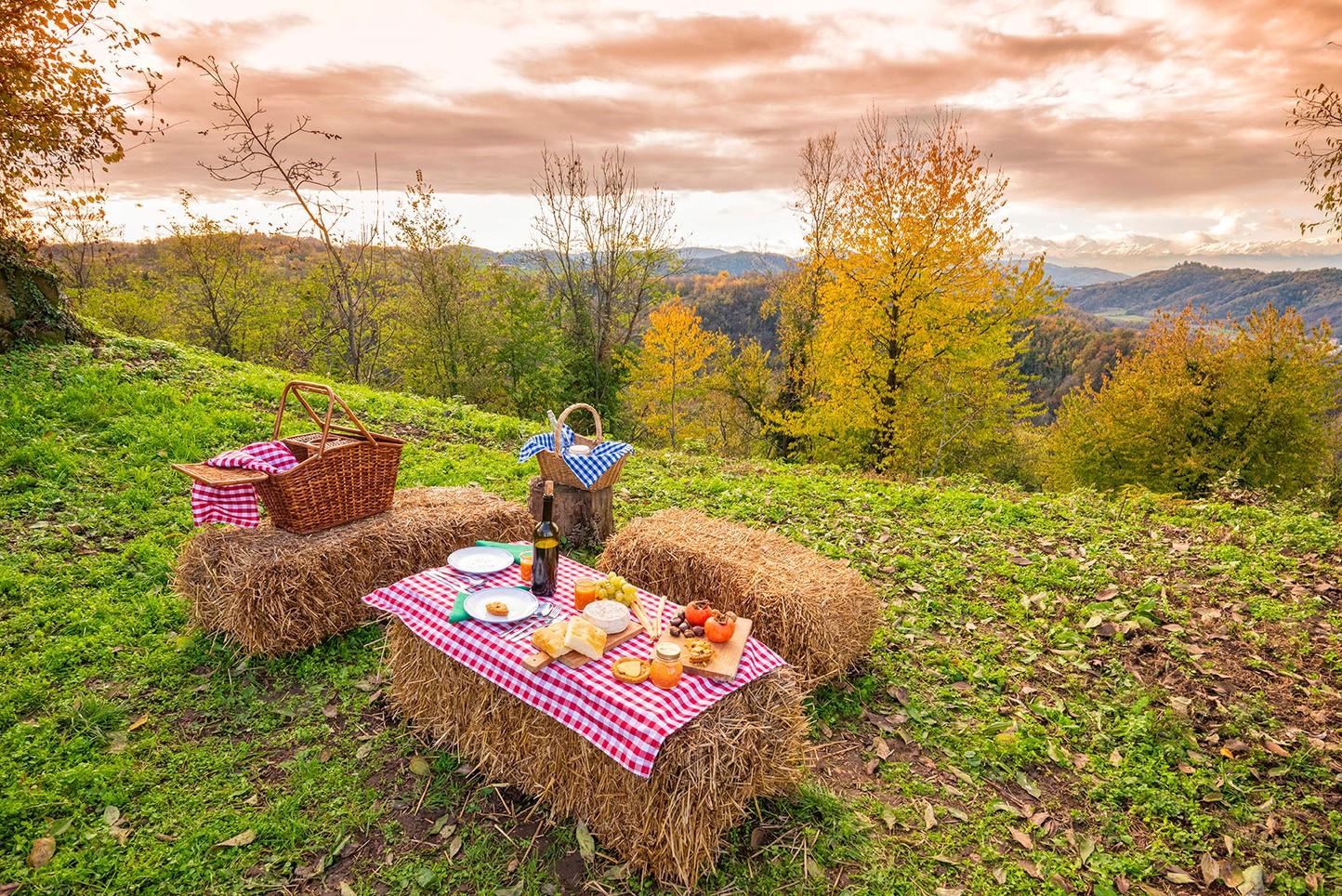 Ape Jam: aperitivo, musica e socialità al Parco del Valentino