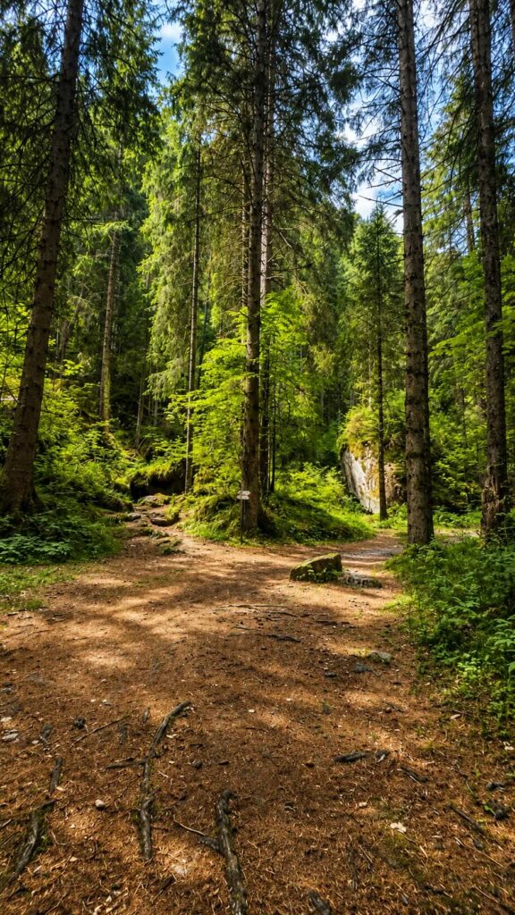 Val Genova trekking