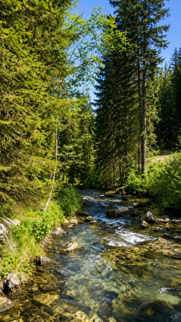 Val Genova trekking