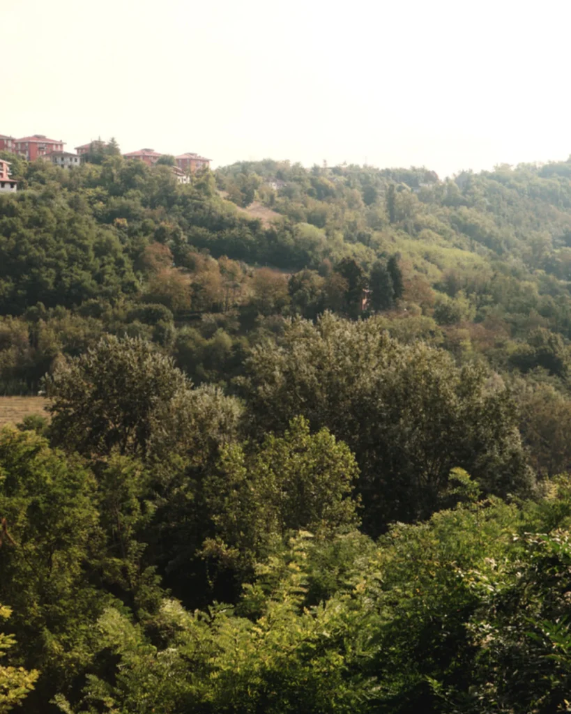 Tenuta Moncarlino