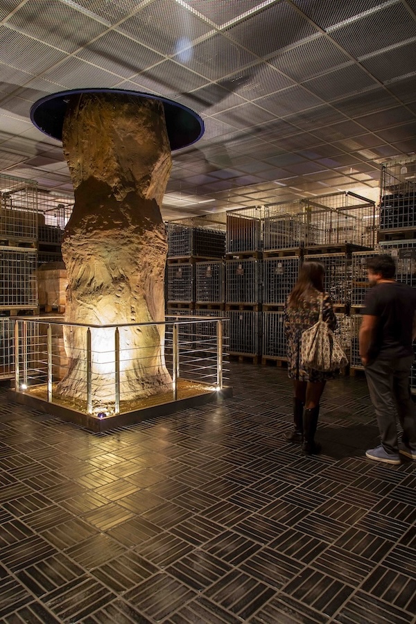 Cantine Ascheri