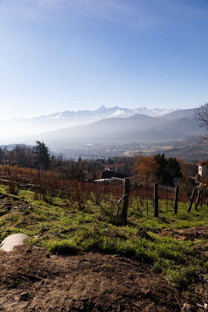 Terre da tastè