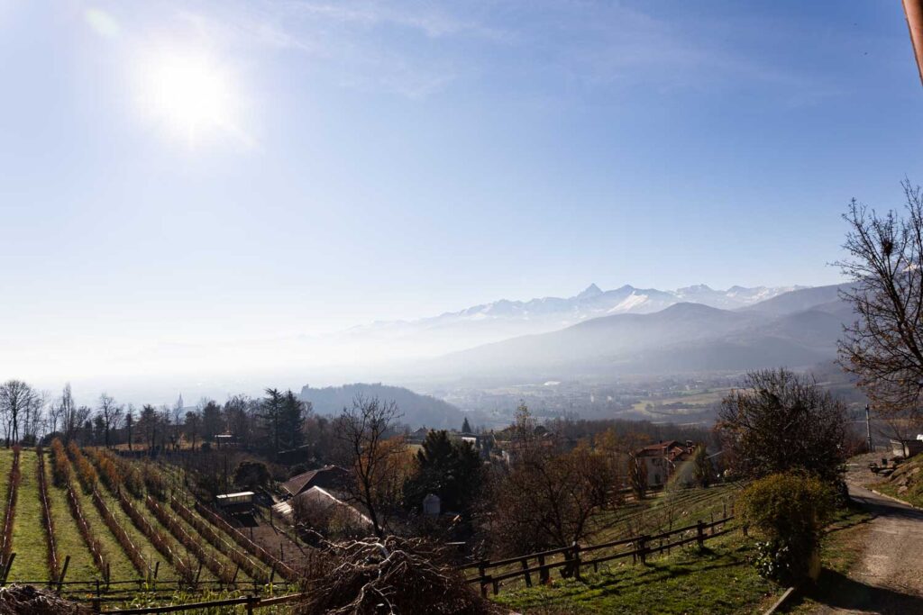 Terre da tastè