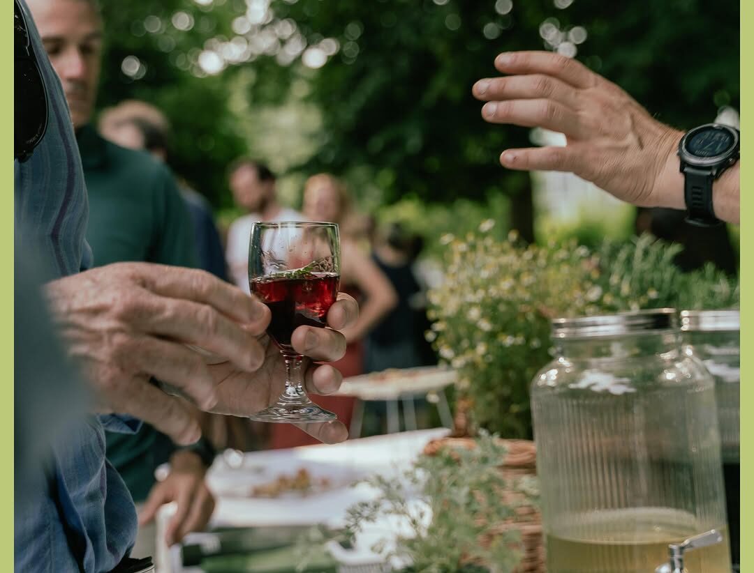 Percorso del Vermouth – piante, storie e un bicchiere alla fine