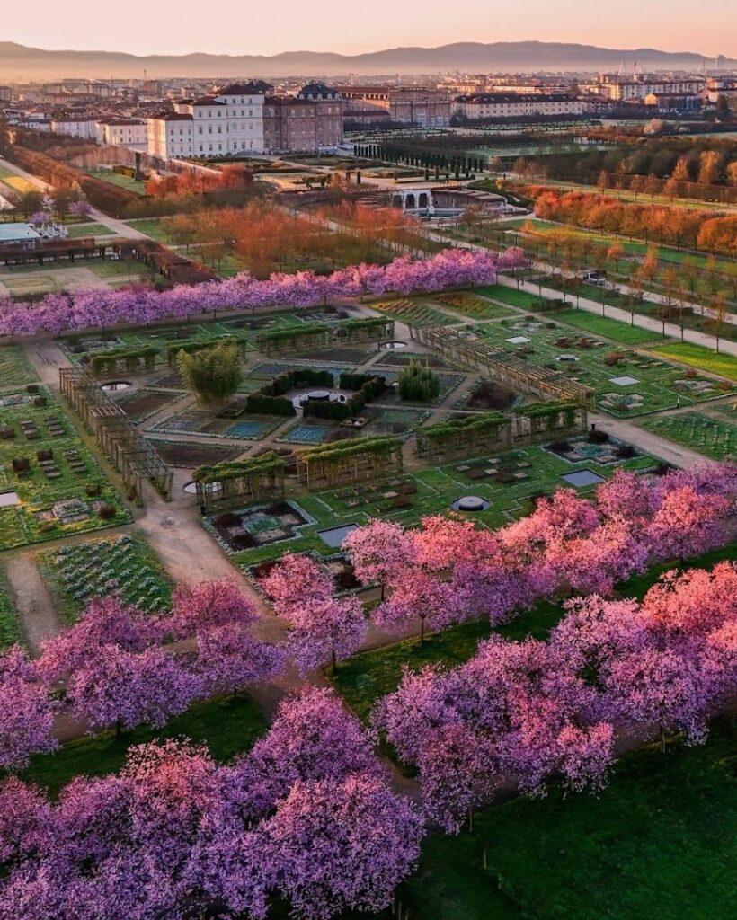 cose da fare a Torino in primavera