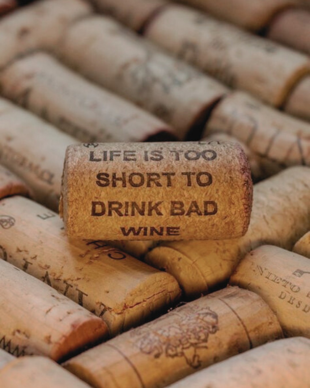 Una giornata in cascina tra vigneti e musica