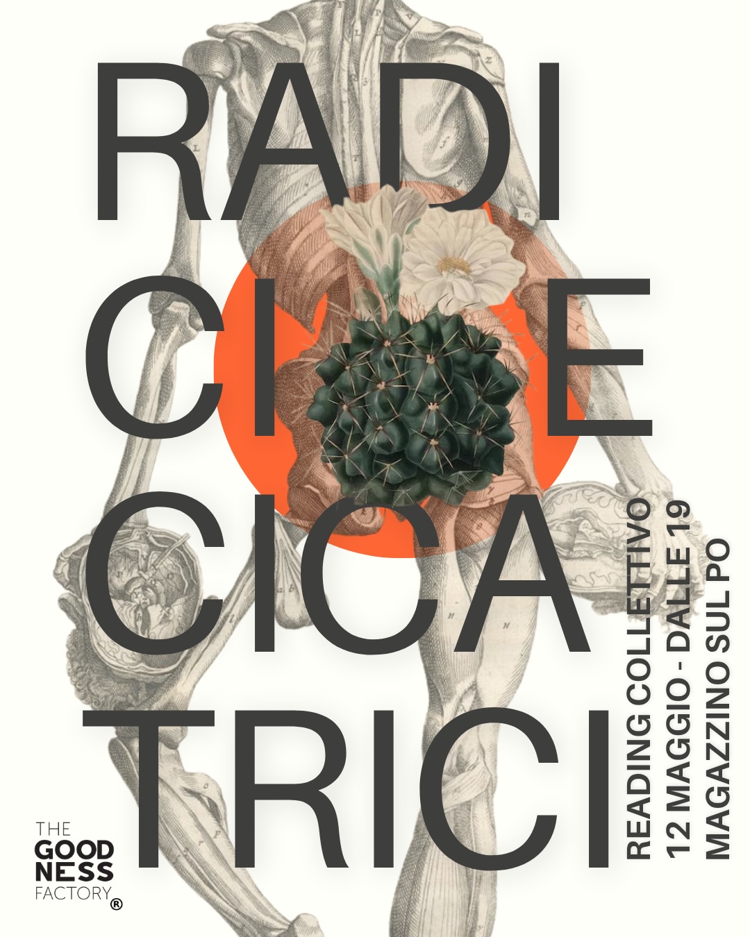 Radice Cicatrici – Reading collettivo