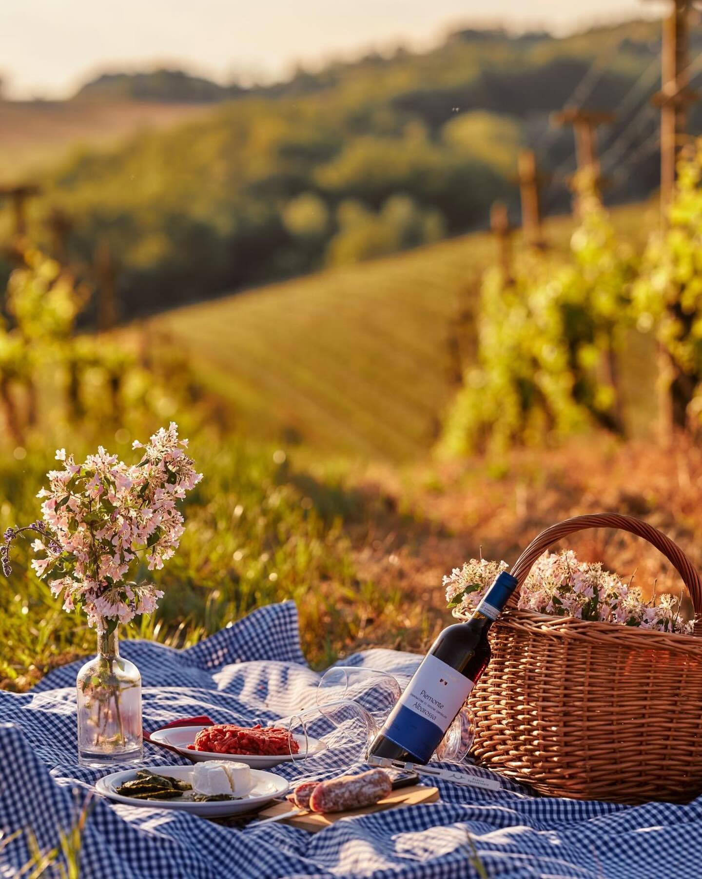 Move & Wine: allenarsi tra le vigne e brindare al tramonto nel Monferrato