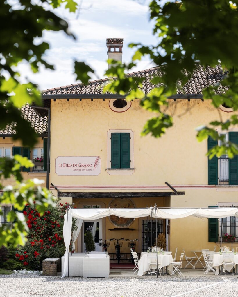 Il filo di grano a morimondo