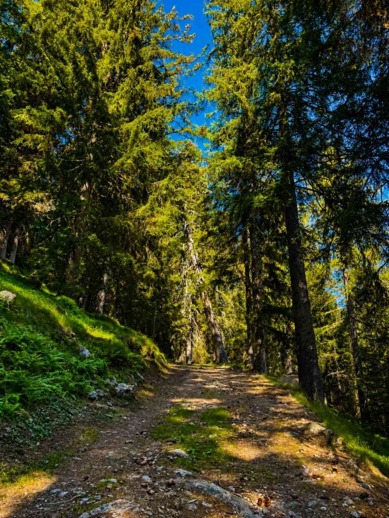 Ceresole Reale - Rifugio Jervis