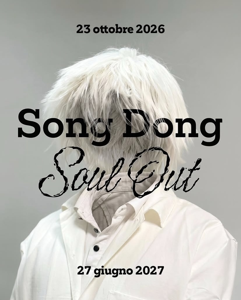 Song Dong. Soul Out – MAO Torino