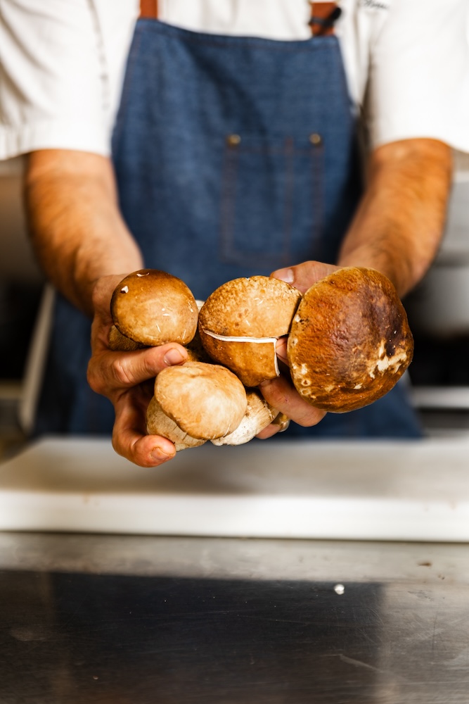 funghi a torino